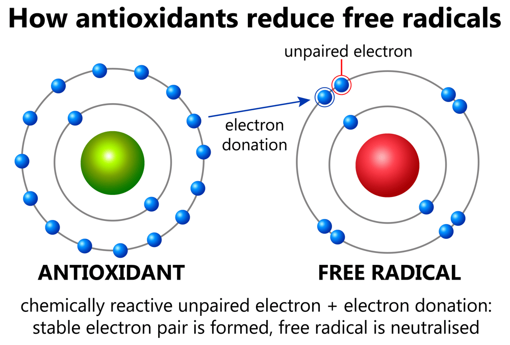 Antioxidant and Free Radicals