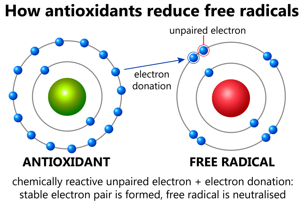 Antioxidant and Free Radicals Antioxidant and Free Radicals