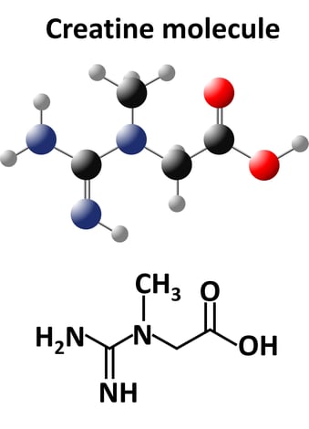 Creatine molecule