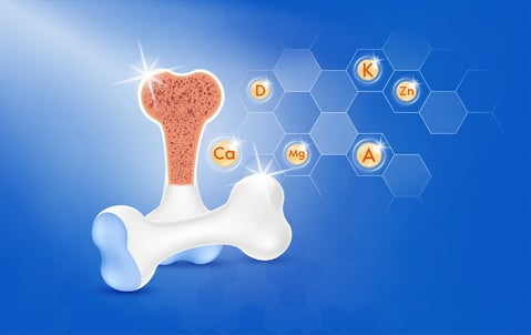 bone chemical makeup